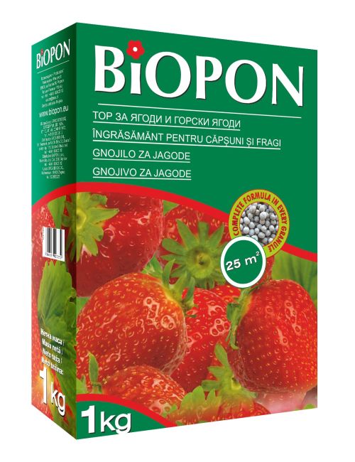 8-Ingrasamant-Capsuni-si-Fragi-Biopon-1-kg